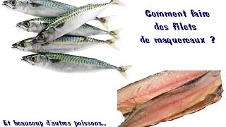 Comment faire des filets de poisson comme le maquereaux [upl. by Aztiram623]