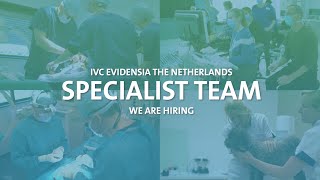 IVC Evidensia the Netherlands  join our team of specialists [upl. by Aerised226]