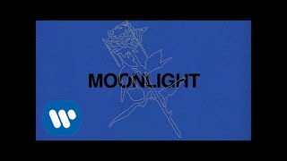 Ali Gatie  Moonlight Official Lyrics Video [upl. by Ynots]