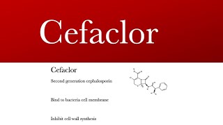 Cefaclor ceclor cephalosporins antibiotic  cefaclor antibiotic and cefaclor uses [upl. by Millian]