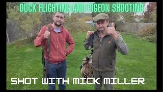 Duck Flighting and Pigeon Shooting [upl. by Nanah]