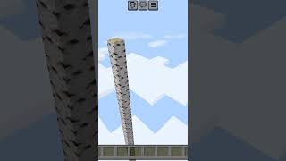 I made the tallest birch tree in minecraft minecraft birchwood fun minecraftshorts [upl. by Claudell]