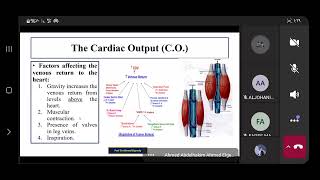 NursingPhysiology of CVS Prof Dr Ahmed Elgendy Part3 [upl. by Huai]