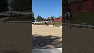 92924 dressage practice with Andria pooley [upl. by Ursola686]