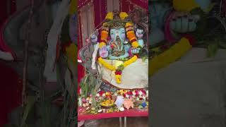 My village Ganesha ❣️💥🥹Naveenvloges116 viralvideo shortvideo Naveenvlogesk [upl. by Glynda]