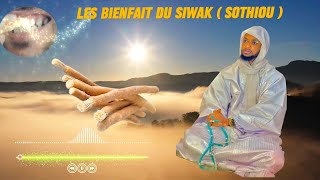 Les bienfait du siwak  sothiou [upl. by Osbourne]