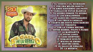 El Gallo De La Sierra 20 Exitos Con Banda  DISCO COMPLETO [upl. by Shaner237]