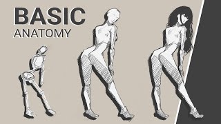 How to draw anime girl ANATOMY  Basic anatomy Real Time [upl. by Yknip388]