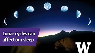 How phases of the moon can affect your sleep [upl. by Krystyna]