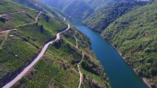 Ribeira Sacra [upl. by Brost]