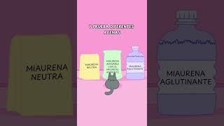 ¿Cómo evitar que tu gato orine fuera de su caja de arena 🚫🐱 gatos gato gatitos michi michis [upl. by Danella]