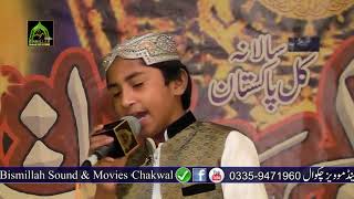 Heart touching Rubaiyat By Taiyab Tahir Hameedi Sialvi 2018 [upl. by Scever]