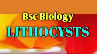 Lithocysts Plant Tissue  Bsc Biology  Lectures24 biology tissue debasish debasishsiredukasi [upl. by Edythe323]