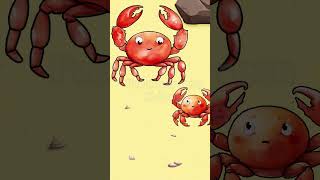 Sideways Lessons A Crabs Tale of Understanding [upl. by Maudie]