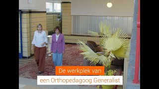 De meerwaarde van de Orthopedagooggeneralist op de werkvloer [upl. by Namie]