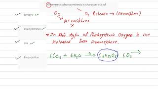 Anoxygenic photosynthesis is characteristic of [upl. by Luelle]