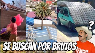 Se Buscan por Brutos [upl. by Ecyak430]