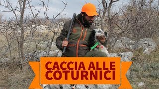 Caccia alle coturnici con i cani da ferma in Bosnia Erzegovina [upl. by Mistrot364]