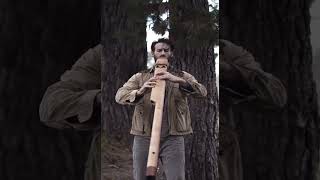 Listen to 432Hz Bass D drone Native American style flute📹 Christian Dimarco Music repost [upl. by Erreit]