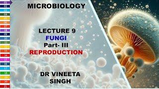 Understanding Fungal Reproduction [upl. by Genevieve609]