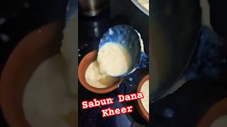 Yah Kaisa kheer maine Bana diya 😱😋😋cooking foodielove foodie sabudana kheerrecipe [upl. by Anais]