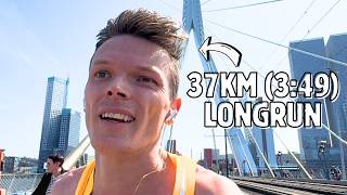 5 km Wedstrijd amp 37 km Longrun binnen 2 Dagen Marathontraining Werpt Vruchten Af vlog [upl. by Nussbaum]