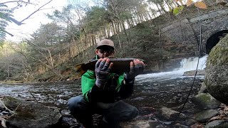 Big Brown Trout on Tailwalk Troutia Feerique S50L [upl. by Ocnarfnaig741]