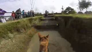 Carlanstown novice hunter trials [upl. by Button]