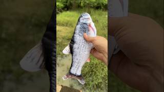 Fish Toy \ New Viral Gadget Smart Appliances Home Invetion Kitchen Utensils [upl. by Mingche127]