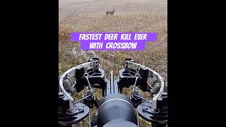 FASTEST DEER KILL EVER STEALTH NXT TENPOINT CROSSBOW hunting crossbow [upl. by Akkim995]