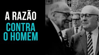 quotDialética do Esclarecimentoquot por Theodor Adorno e Max Horkheimer [upl. by Kciredorb]