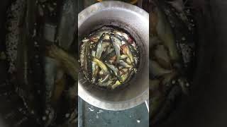 Sweet Water Fish  Shingtya  Chivni  Chimni Special Recipe in Maharashtra  Fish Recipe [upl. by Anila]