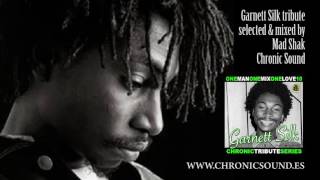 CHRONIC SOUND  GARNETT SILK tribute mix by Mad Shak [upl. by Annaira]