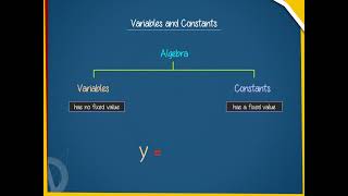 Variable and constant U11 class6 [upl. by Irvin234]