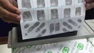 How to Roll Ink Fingerprints [upl. by Palecek]