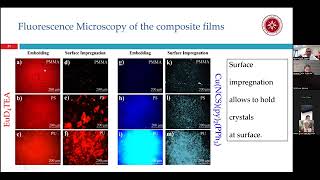 Colorimetric Mechanical Sensors Based PolymerParticle Systems [upl. by Ecinwahs300]