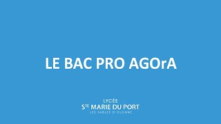 Le Bac pro AGOrA [upl. by Raseac]