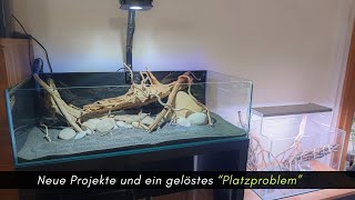 Wochenstart Neue Projekte und Studio News Jetzt gehts erst richtig los aquaristik [upl. by Lorola]