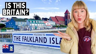 Exploring the Falkland Islands 🇫🇰 Britain’s Most Remote Island Isla Malvinas [upl. by Erastus]