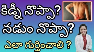 kidney pain vs back pain  నడుం నొప్పా  కిడ్నీ నొప్పా ఎలా గుర్తించాలి [upl. by Dorella197]