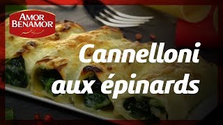 Cannelloni aux épinards [upl. by Aicxela]