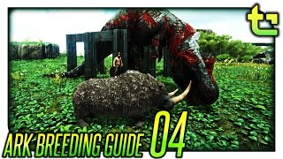 Ark Breeding  How To  Imprinting Explained  TimmyCarbine [upl. by Free]