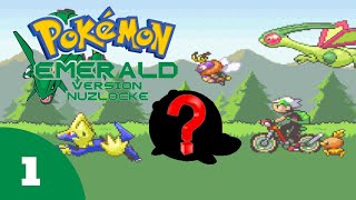 FR Pokémon Emeraude NUZLOCKE RANDOM  QUI SERA NOTRE STARTER [upl. by Datnow188]