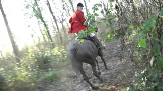 Crawley and Horsham hunt Boxing Day 2013avi [upl. by Dodwell]