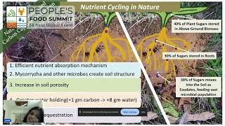 Peoples Food Summit 2024 AsiaPacific  Swati Renduchintala CIFOR ICRAF  India [upl. by Adnawak492]