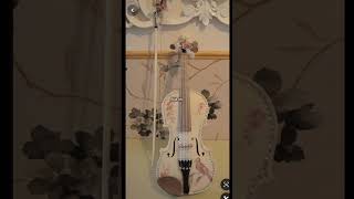 Violinist string instrument player understand fypシ゚viral musiclyrics violin songlyrics viralvd [upl. by Einnil]