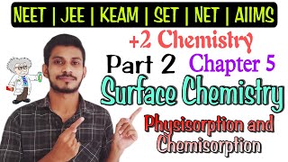 Surface Chemistry  Difference Between Physisorption and Chemisorption [upl. by Oby102]