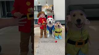 Our Bsby and Dogs 13 Halloween Costumes [upl. by Ariamo]