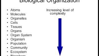 Biology 1010 Lecture 1 Intro to Biology [upl. by Eardnaed]