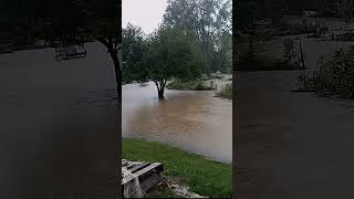 Hendersonville NC  FLOODS HELENE [upl. by Idzik]